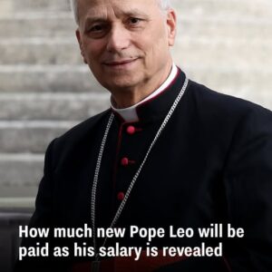 Vatican Reveals Pope Leo XIV’s Earnings Vatican Reveals Pope Leo XIV’s Earnings