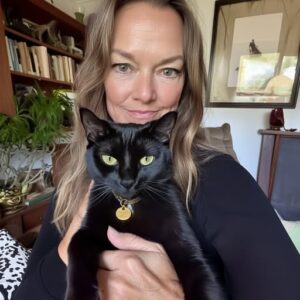I Came Across a Cat with an ID Tag in My Garden — After Calling the Number, I Turned Down 0,000, but Found Happiness I Came Across a Cat with an ID Tag in My Garden — After Calling the Number, I Turned Down 0,000, but Found Happiness