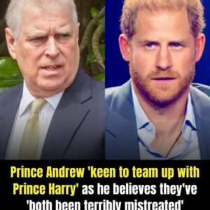 Prince Andrew ‘keen to team up with Prince Harry’ as he believes they’ve ‘both been terribly mistreated’