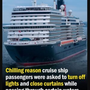 Cruise Ship Passengers Told to Shut Curtains and Lights for a Startling Reason While Sailing Through Certain Waters Cruise Ship Passengers Told to Shut Curtains and Lights for a Startling Reason While Sailing Through Certain Waters