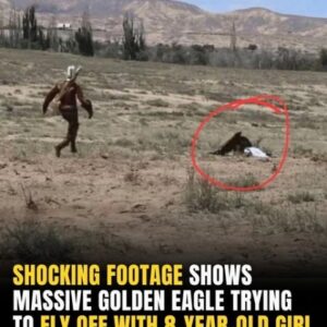 Shocking Footage Shows Massive Golden Eagle Trying To Fly Off With 8-Year-Old Girl Shocking Footage Shows Massive Golden Eagle Trying To Fly Off With 8-Year-Old Girl