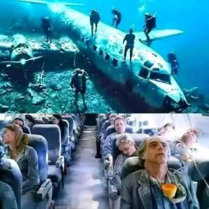 They find missing plane after 40 years with over 92 pa… They find missing plane after 40 years with over 92 pa…