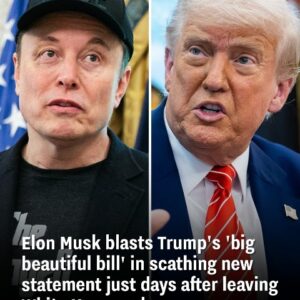 Elon Musk takes aim at Trump’s ‘big beautiful bill’ in a blistering statement released days after leaving the White House Elon Musk takes aim at Trump’s ‘big beautiful bill’ in a blistering statement released days after leaving the White House
