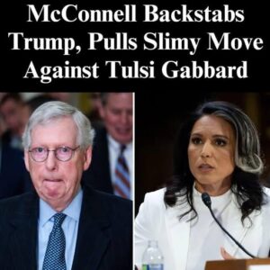 Senate Confirms Tulsi Gabbard as Director of National Intelligence in Historic Vote Senate Confirms Tulsi Gabbard as Director of National Intelligence in Historic Vote