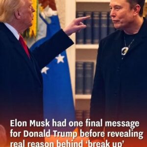 Musk’s Final Words to Trump Before Revealing the Truth Musk’s Final Words to Trump Before Revealing the Truth