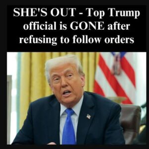 Mysterious Exit: Top Trump Official Is Gone After Withdrawing from a Shadowy… Mysterious Exit: Top Trump Official Is Gone After Withdrawing from a Shadowy…