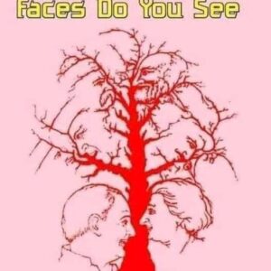Everyone can see the first two faces in this illusion… Everyone can see the first two faces in this illusion…