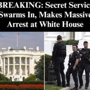 Secret Service Swarm As Man Climbs Over White House Fence Secret Service Swarm As Man Climbs Over White House Fence