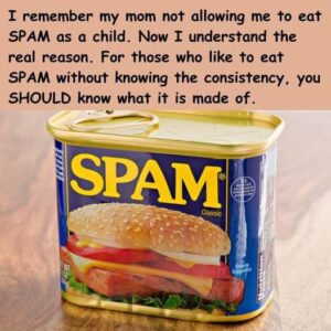 What does SPAM consist of, and what is it? What does SPAM consist of, and what is it?