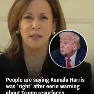 Social Media Buzzes as Old Harris Statement About Trump Appears to Have Come True Social Media Buzzes as Old Harris Statement About Trump Appears to Have Come True