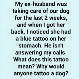 The Meaning Behind a Blue Line Tattoo on a Dog The Meaning Behind a Blue Line Tattoo on a Dog