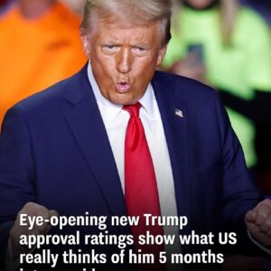 New Trump approval ratings reveal how Americans truly feel about him five months into his presidency New Trump approval ratings reveal how Americans truly feel about him five months into his presidency