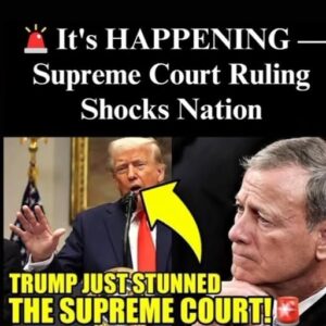 Supreme Court’s Surprise Stay Raises Questions About Government Transparency and Executive Power Supreme Court’s Surprise Stay Raises Questions About Government Transparency and Executive Power