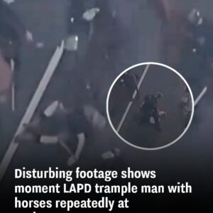 shows moment LAPD trample man with horses repeatedly at anti-ICE protests shows moment LAPD trample man with horses repeatedly at anti-ICE protests