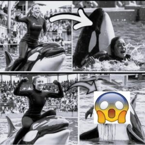 Coach Orca is Destroy by this thing while … see more