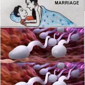 Studies reveal that swallowing your partner’s semen… Studies reveal that swallowing your partner’s semen…