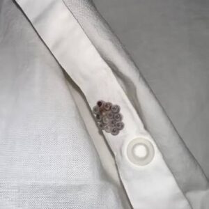I found these tiny balls in my bed and nearly had a heart att.ack: here’s what they were I found these tiny balls in my bed and nearly had a heart att.ack: here’s what they were