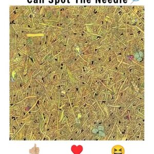 Can You Spot It? A Visual Puzzle Only Sharp Eyes Can Solve Can You Spot It? A Visual Puzzle Only Sharp Eyes Can Solve