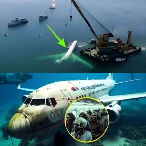 BREAKING NEWS: Lost No More? MH370’s Final Moments Have Been Found BREAKING NEWS: Lost No More? MH370’s Final Moments Have Been Found