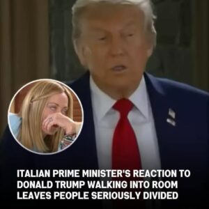 G7 Summit Video Sparks Debate Over Diplomatic Body Language and International Relations