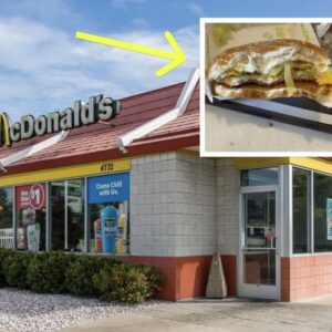 Family Pulls Out Camera For Proof Of What McDonald’s Put On All Of Their Sandwiches Family Pulls Out Camera For Proof Of What McDonald’s Put On All Of Their Sandwiches