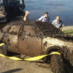 He accidentally found a car at the bottom of the river and called the police. When they arrived, the police were horrified and shocked, look what they found inside when they pulled it out of the water.Check the comments