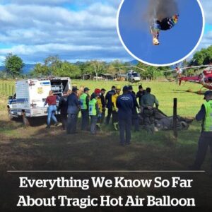 At least eight killed in horrific hot At least eight killed in horrific hot