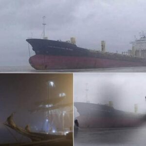 The case of the ghost ship found missing after nine years has been solved. The case of the ghost ship found missing after nine years has been solved.