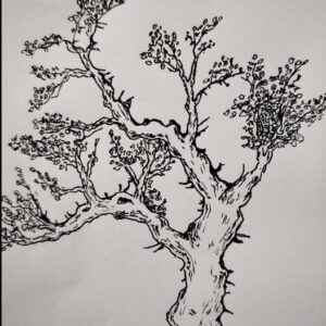 Find all the hidden faces in the picture