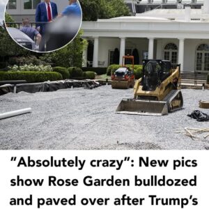 It’s hard to recognize the White House Rose Garden these days It’s hard to recognize the White House Rose Garden these days