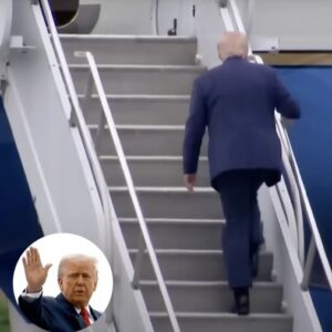 Footage of Trump Boarding Air Force One Spreads Online, Prompting Identical Comments Footage of Trump Boarding Air Force One Spreads Online, Prompting Identical Comments