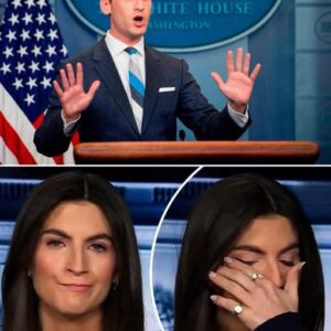 Stephen Miller FLIPS OUT and HUMILIATES Kaitlan Collins in the Oval Office Stephen Miller FLIPS OUT and HUMILIATES Kaitlan Collins in the Oval Office