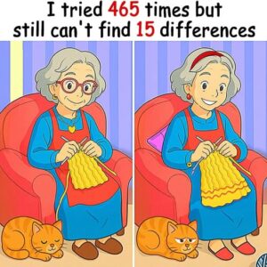 Quiz: Find the 15 Differences Quiz: Find the 15 Differences