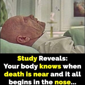 Research shows body senses death is near – it starts in nose Research shows body senses death is near – it starts in nose