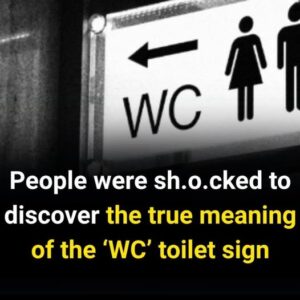 Everyone Sees This Sign — But Not Everyone Knows Its Fascinating History Everyone Sees This Sign — But Not Everyone Knows Its Fascinating History