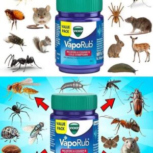 Repel Pests Naturally Using Mentholated Ointment, A Powerful Household Trick