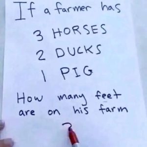 Can You Count the Feet on the Farm? Can You Count the Feet on the Farm?