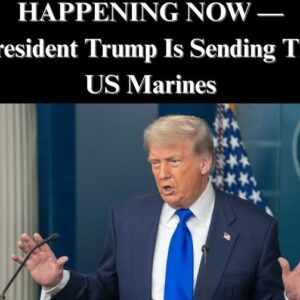 Trump Admin Sending Hundreds of Marines to Florida to Help ICE