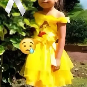 The 5-Year-old girl who was hit by a… The 5-Year-old girl who was hit by a…
