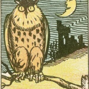 If you don’t see a person, then your vision is worse than an owl’s. Where is he? If you don’t see a person, then your vision is worse than an owl’s. Where is he?