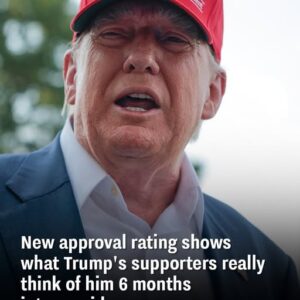 New approval rating shows what Trump’s supporters really think of him 6 months into presidency