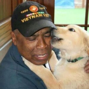 A solitary veteran without family turned down the idea of adoption—until a dog made the choice for him… And then everything transformed.
