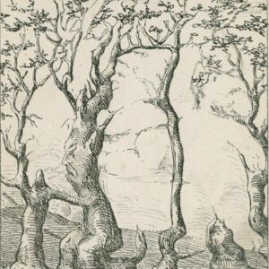 Besides the gnome, there is a bear, a fox and a wood goblin in the picture. Only not everyone will see them Besides the gnome, there is a bear, a fox and a wood goblin in the picture. Only not everyone will see them