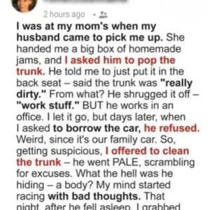 The Locked Trunk, the Hidden Truth, and the Surprise That Changed Everything The Locked Trunk, the Hidden Truth, and the Surprise That Changed Everything