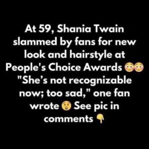 Shania Twain catches heat for blonde look at awards show Shania Twain catches heat for blonde look at awards show
