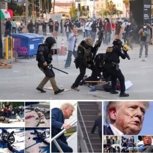 U.S president Donald Trump has just been involved…. U.S president Donald Trump has just been involved….