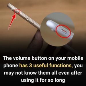 Volume button has a function that not everyone knows Volume button has a function that not everyone knows