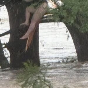 Breaking News: One of the missing camp girls was found 12 miles down river in Texas. Breaking News: One of the missing camp girls was found 12 miles down river in Texas.