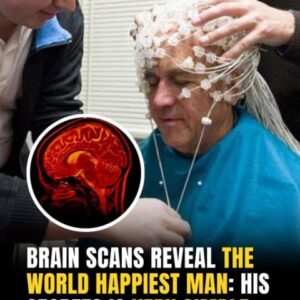 Brain Scans Reveal The World Happiest Man: His Secrets Is Very Simple Brain Scans Reveal The World Happiest Man: His Secrets Is Very Simple