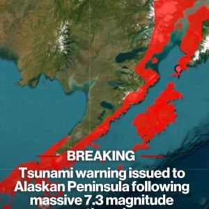 Tsunami warning issued to Alaskan Peninsula following massive 7.3 magnitude earthquake Tsunami warning issued to Alaskan Peninsula following massive 7.3 magnitude earthquake